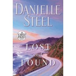 lost and found a novel