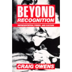 beyond recognition representation power and culture