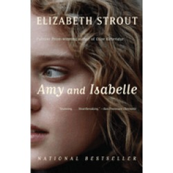 amy and isabelle a novel