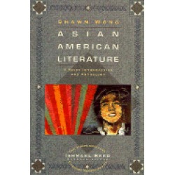 asian american literature a brief introduction and anthology