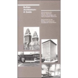 buffalo architecture a guide