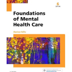foundations of mental health care