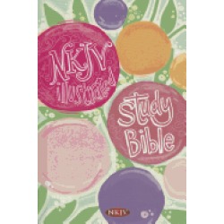 illustrated study bible for kids nkjv girls