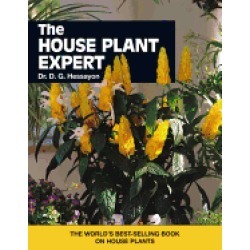 house plant expert