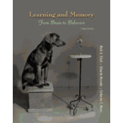 learning and memory