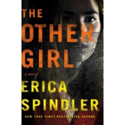 other girl a novel