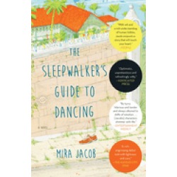 sleepwalkers guide to dancing a novel