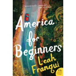 america for beginners a novel
