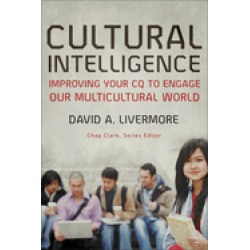 cultural intelligence
