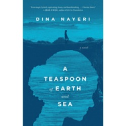 teaspoon of earth and sea a novel