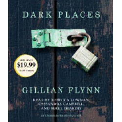dark places a novel