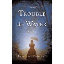 trouble the water a novel