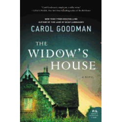 widows house a novel