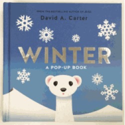 winter a pop up book
