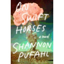 on swift horses a novel