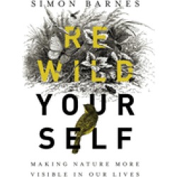 rewild yourself making nature more visible in our lives