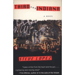 third and indiana a novel