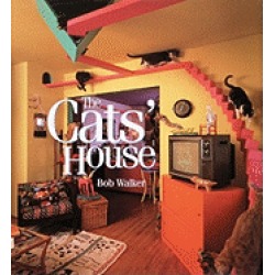 cats house