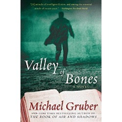 valley of bones a novel