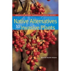 native alternatives to invasive plants