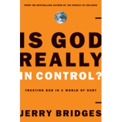 is god really in control trusting god in a world of hurt