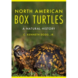 north american box turtles