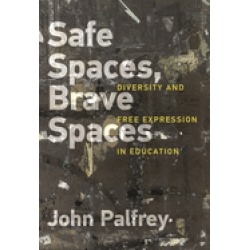 safe spaces brave spaces diversity and free expression in education