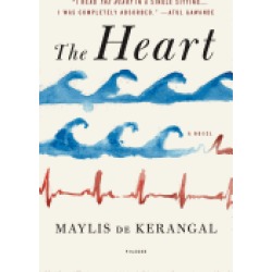 heart a novel