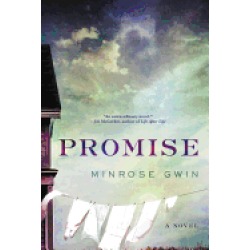 promise a novel