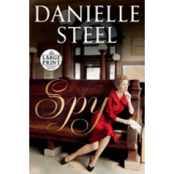 spy a novel