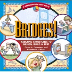 bridges amazing structures to design build and test