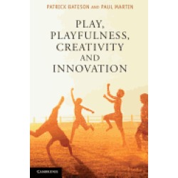 play playfulness creativity and innovation