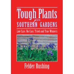 tough plants for southern gardens