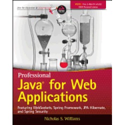 professional java for web applications