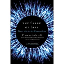 spark of life electricity in the human body