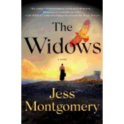widows a novel