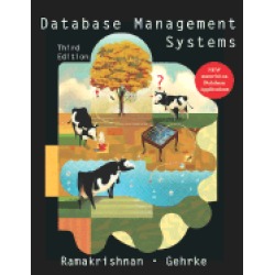 database management systems 3rd edition