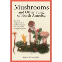 mushrooms and other fungi of north america