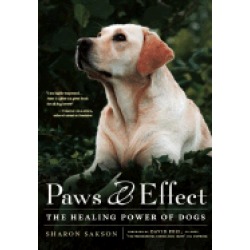 paws and effect the healing power of dogs