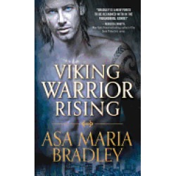 viking warrior rising