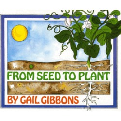 from seed to plant