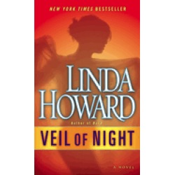 veil of night a novel