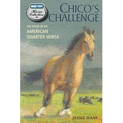 chicos challenge