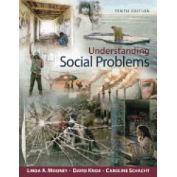 understanding social problems standalone book