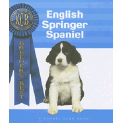 english springer spaniel