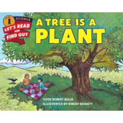 tree is a plant