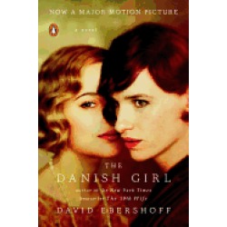 danish girl a novel