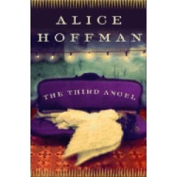 third angel a novel