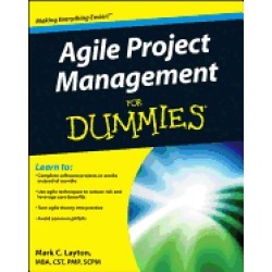 agile project management for dummies layton mark c