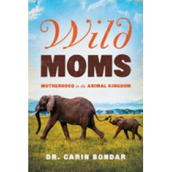 wild moms motherhood in the animal kingdom